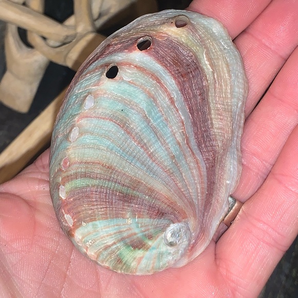 “The Ultimate Protection” Smudge Set w Angel Aura Quartz Complete Protection Set - Picture 11 of 16